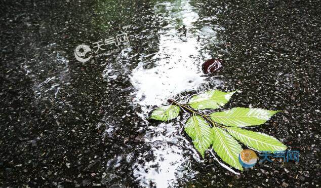 回南天与梅雨天区别 梅雨天和回南天哪个严重