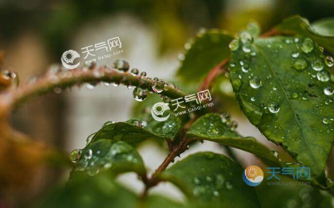 回南天出现在我国什么地区 中国哪些城市有回南天