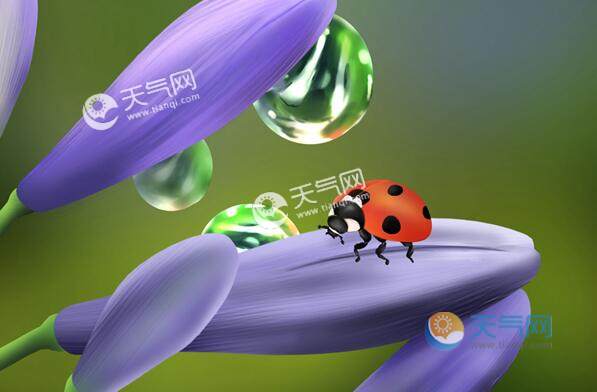 惊蛰是什么季节的节气 惊蛰是春天吗