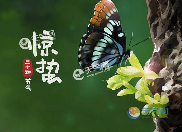 惊蛰怎么读音 惊蛰的“蛰”字怎么读