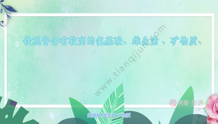 铁观音属于什么茶  铁观音是什么茶