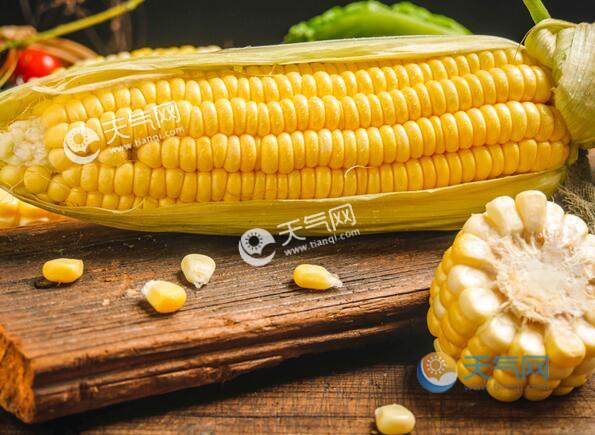 回南天吃什么祛湿 回南天八大祛湿食物推荐