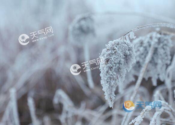 今年首个寒潮来袭注意什么 寒潮来临时5大注意事项
