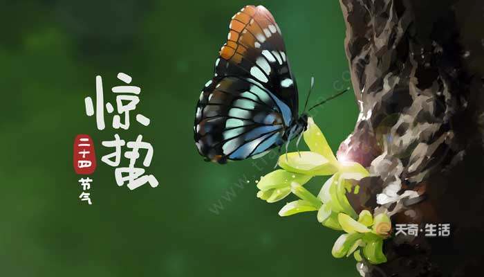 惊蛰是什么意思呢