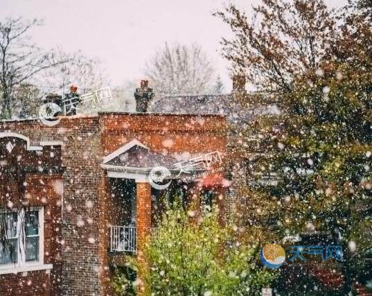 暴雪是多大的雪 暴雪是什么概念