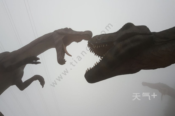 重庆冬天适合去哪玩 重庆冬天旅游推荐