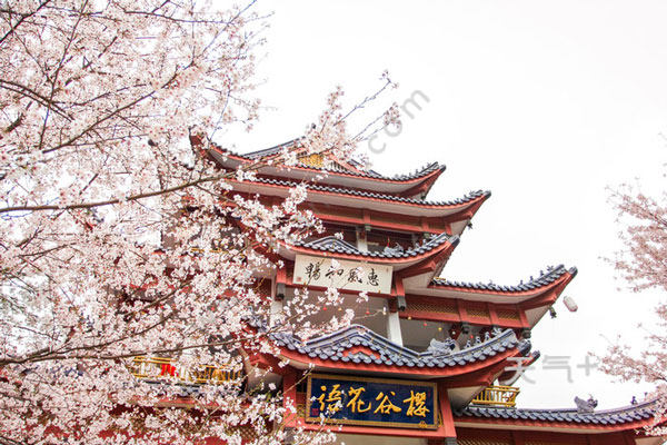 无锡有什么好玩的地方 无锡最值得去的景点推荐