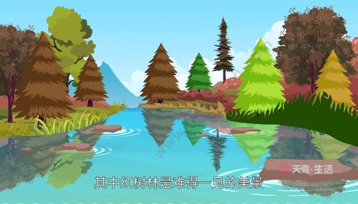广州湾在哪里  广州湾在什么地方