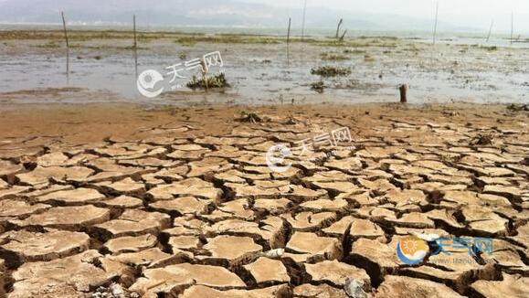 湖北多地出现大面积特旱区 省气象台发布干旱红色预警信号