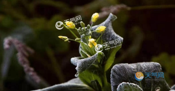 全国大部少雨迎晴天 超强冷空气开始南下