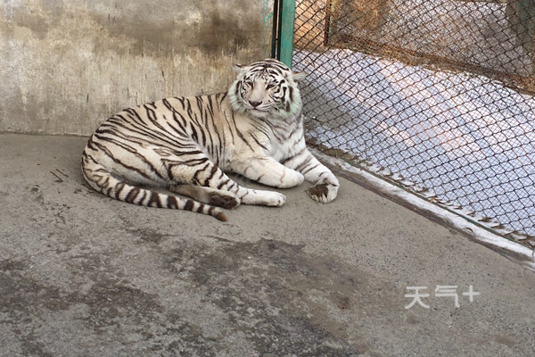 ​哈尔滨十大旅游景点