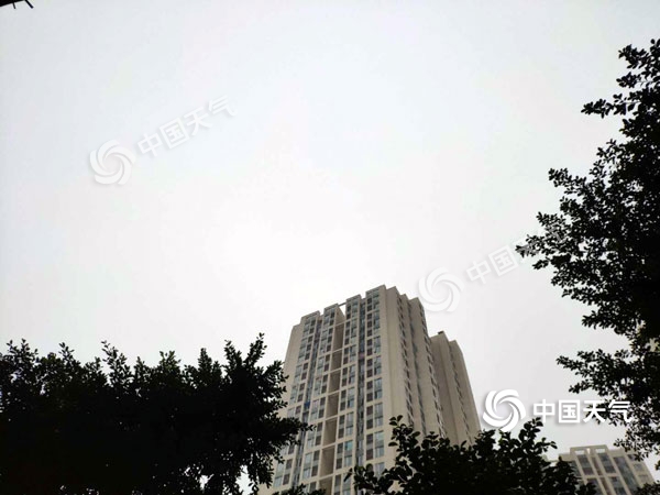 未来三天重庆阴天为主 局地最高温或至19℃