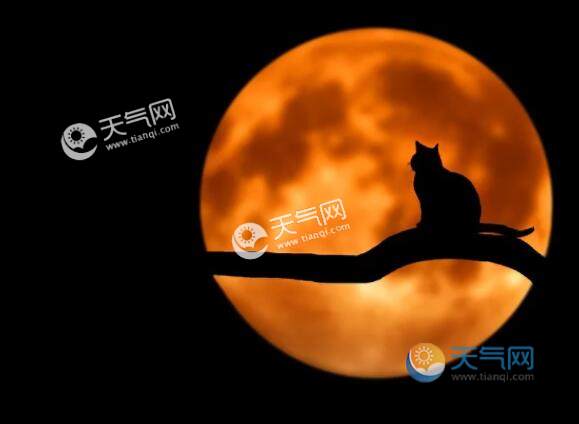 2020年1月21日火星合月是几点 火星合月观测时间