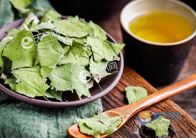 冬天可以喝荷叶茶吗 冬天喝荷叶茶的功效与作用