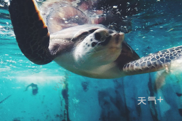 杭州适合亲子游的地方 杭州亲子游景点推荐