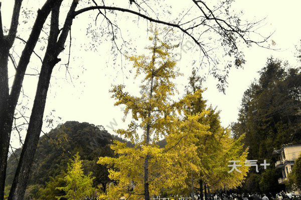 南雄旅游景点 南雄旅游攻略