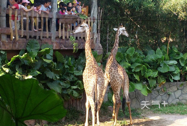 顺德一天游哪里最好玩 顺德好玩的地方推荐