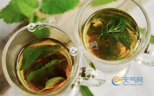 立春养生茶喝哪些 立春时节养肝滋润最佳茶饮