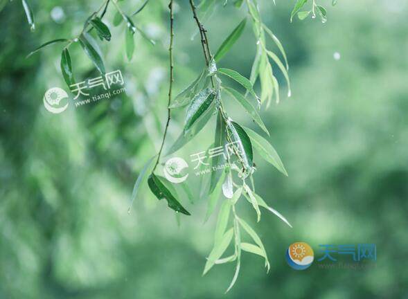 雨水节气的诗词歌赋鉴赏 精选六首关于雨水节气古诗赏析