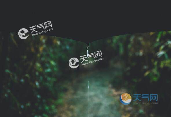 雨水节气气温多少 雨水时节的气温能达多少度