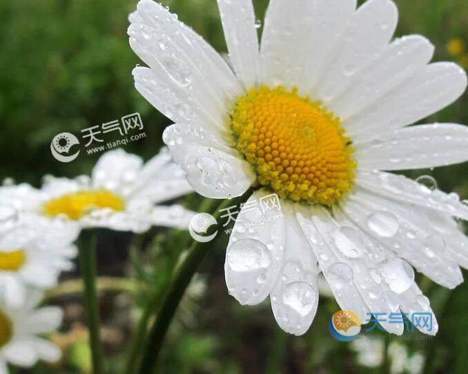 雨水节气谚语及含义 雨水节气气候和农事谚语汇总