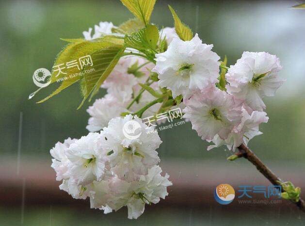 雨水节气谚语及含义 雨水节气气候和农事谚语汇总