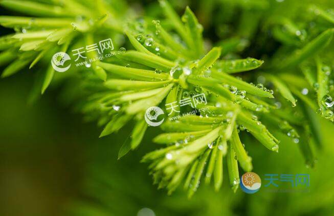 雨水节气的由来 雨水的来历和意义