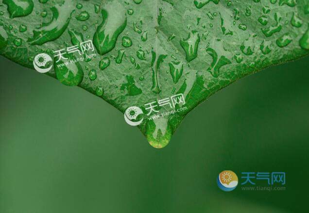雨水节气的由来 雨水的来历和意义