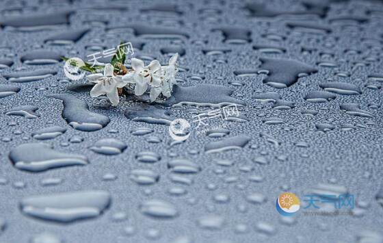 雨水节气特点介绍 关于雨水节气的气候变化