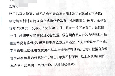 处理后的复印件
