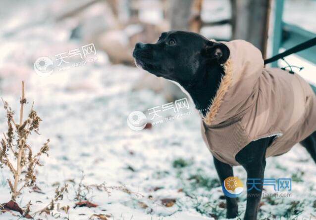 小寒是最冷的节气吗 小寒是不是最冷的时候