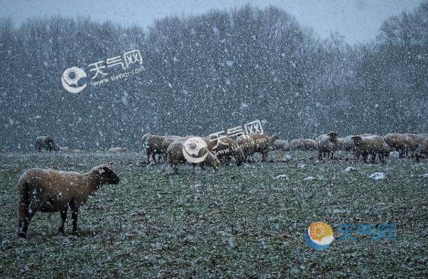 大寒是最冷的节气吗 冬天最冷的时候是大寒吗