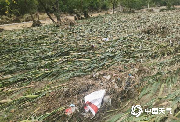 甘肃陇南未来两天利于抢险救灾恢复生产 周末雨又来