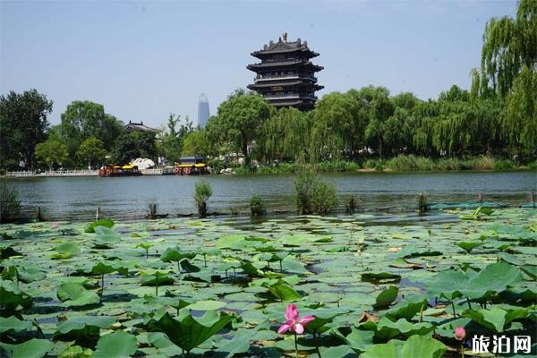 大明湖在哪里 2019大明湖游船攻略