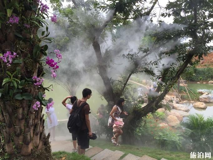 广西南宁青秀山风景区旅游攻略 广西南宁青秀山风景区旅游攻略