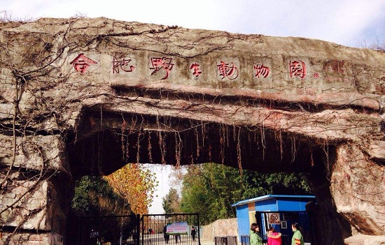 安徽合肥有哪些好玩的地方