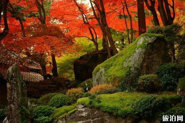 京都赏枫叶最佳地点 京都赏枫叶的寺庙推荐