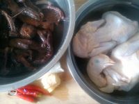 小鸡炖蘑菇的做法步骤1