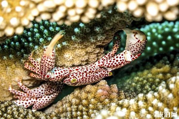 马来西亚免费景点介绍