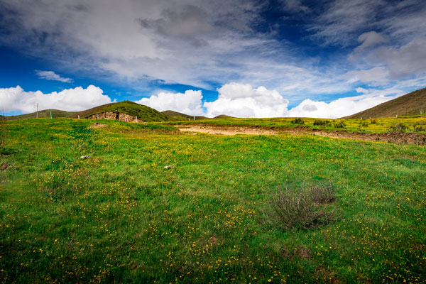 若尔盖大草原在哪里 若尔盖草原几月份开花