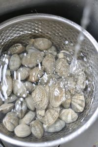 酱烧蛤蜊的做法步骤1