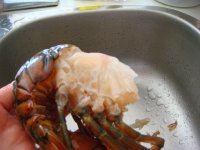 椒盐龙虾的做法步骤4