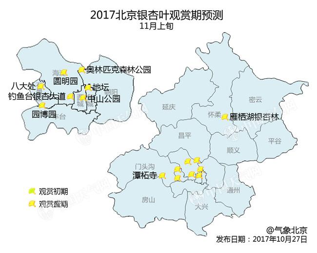 银杏