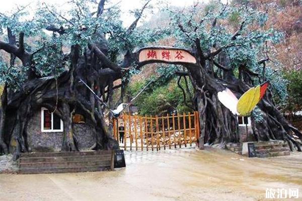 栾川蝴蝶谷景区门票多少钱 有哪些景点