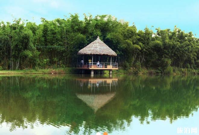 茂名森林公园门票多少钱+优惠政策+注意事项