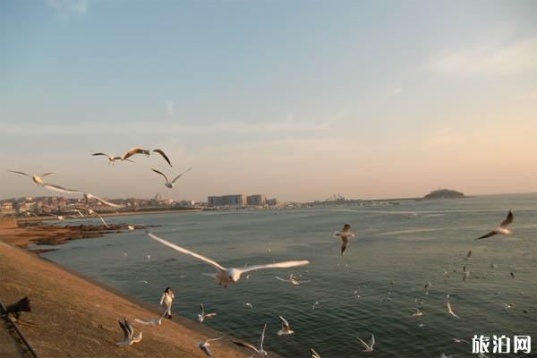青岛栈桥图片 青岛栈桥摄影高清图片