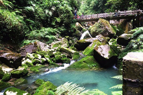 重庆武隆哪些景点好玩 重庆武隆旅游景点