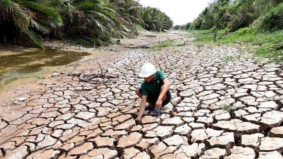 干旱导致泰国越南大米产量降低 大米价格刷新六年新高