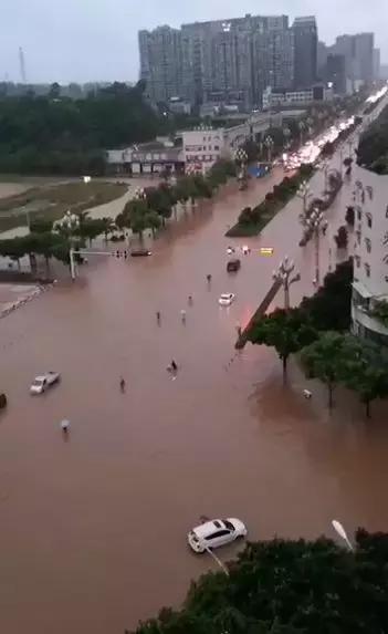 乐山大佛遭暴雨暂停接待游客 千佛岩景区万象亭被冲毁