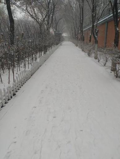 乌鲁木齐迎入冬以来最大降雪 出门要保暖
